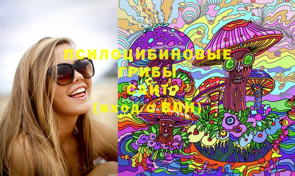 мяу мяу мука Аркадак