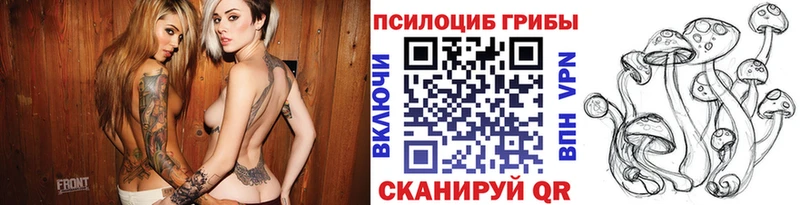 ОМГ ОМГ   Тавда  Галлюциногенные грибы Psilocybine cubensis 