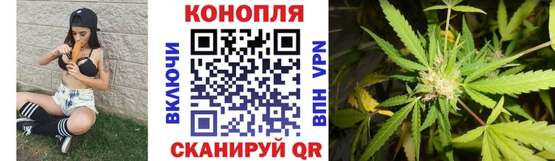 магазин    Тавда  Каннабис сатива 